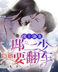 枕上强宠邢二少隐婚要翻车作品